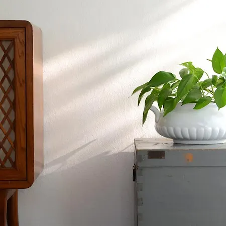 Apartamento Casa Di Mafalda Mogliano Veneto